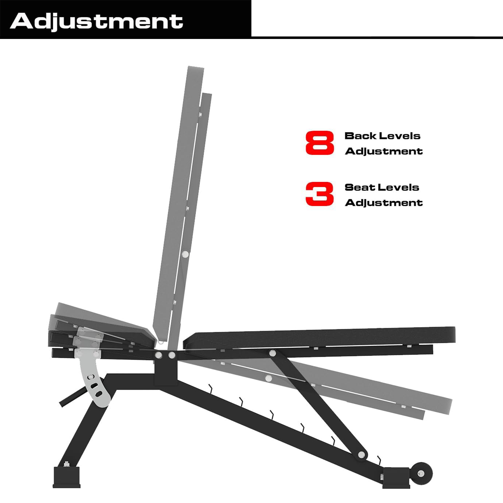 EonfitOmni® Adjustable Weight Bench